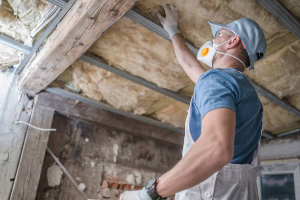 Best Insulation Maintenance and Repair in Grandville, MI